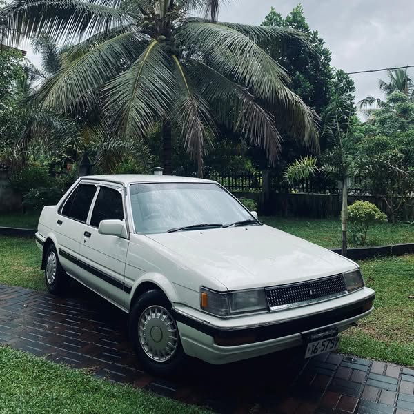 Toyota Corolla AE81