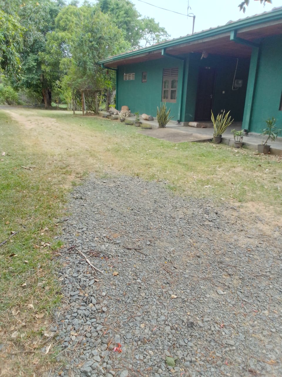 60-Acre Fertile Land for Sale 🌱 #Embilipitiya #FarmLand #SriLanka